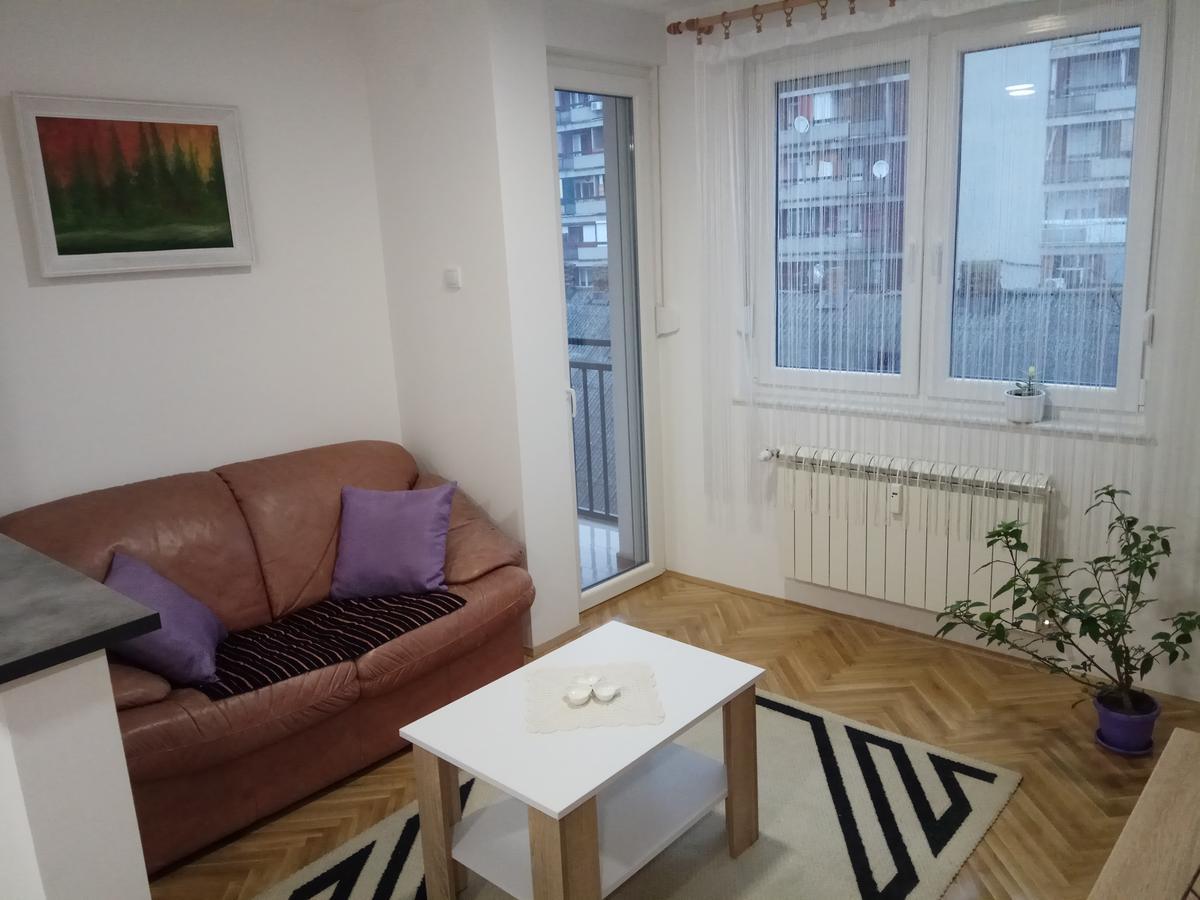 Apartman Ana Subotica Zewnętrze zdjęcie