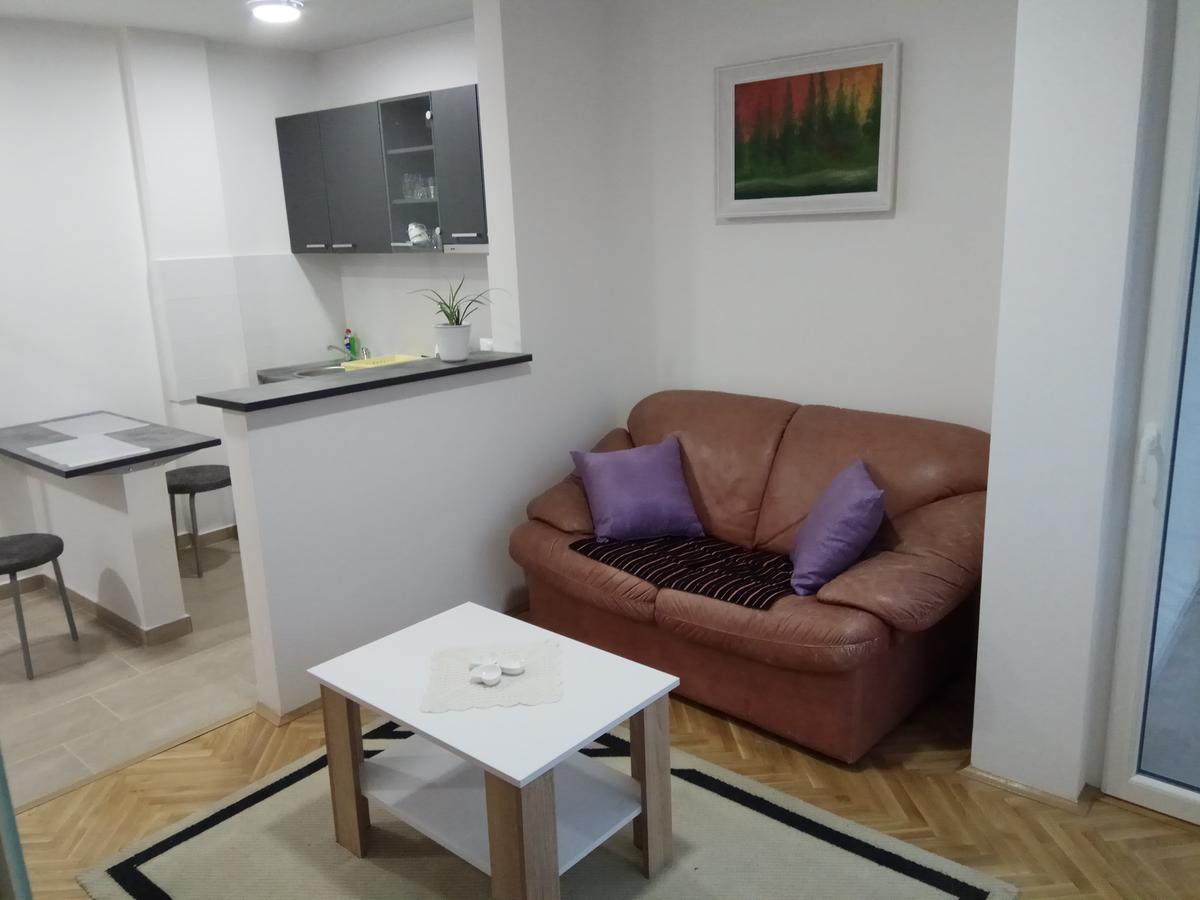 Apartman Ana Subotica Zewnętrze zdjęcie